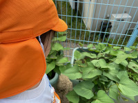 F0CF4BA8-27C4-45B3-9540-699704FED53F