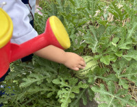 B002238B-5413-4D8B-B2BB-D1673A23C3B9