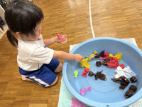 D0180EF9-F24F-4D0D-BAC4-46B576937CE6