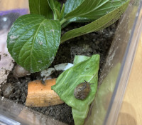 BD70A07A-ED63-4F10-9748-91268B5C5D10