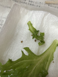 B76953C8-6F14-4C69-BB08-69FB9FA2E012