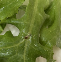 C0980F69-6EDD-4CB0-97A0-500CB7ABC88B