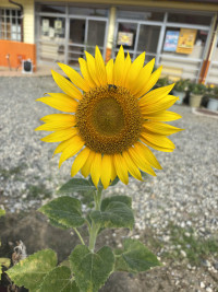 09E8E739-8D6E-4FAC-976E-357E4F2AE1C9