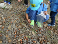 E094802E-13A5-4C78-BBBB-8FAB1A076010