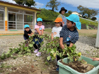 BCAAA3CA-7DD8-435A-82CE-0606513C7FB8