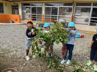 26C60F15-F01A-408C-9250-5F072F17C7E4