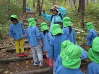 森林学習 森林学習