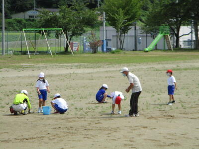 １・２年草むしり